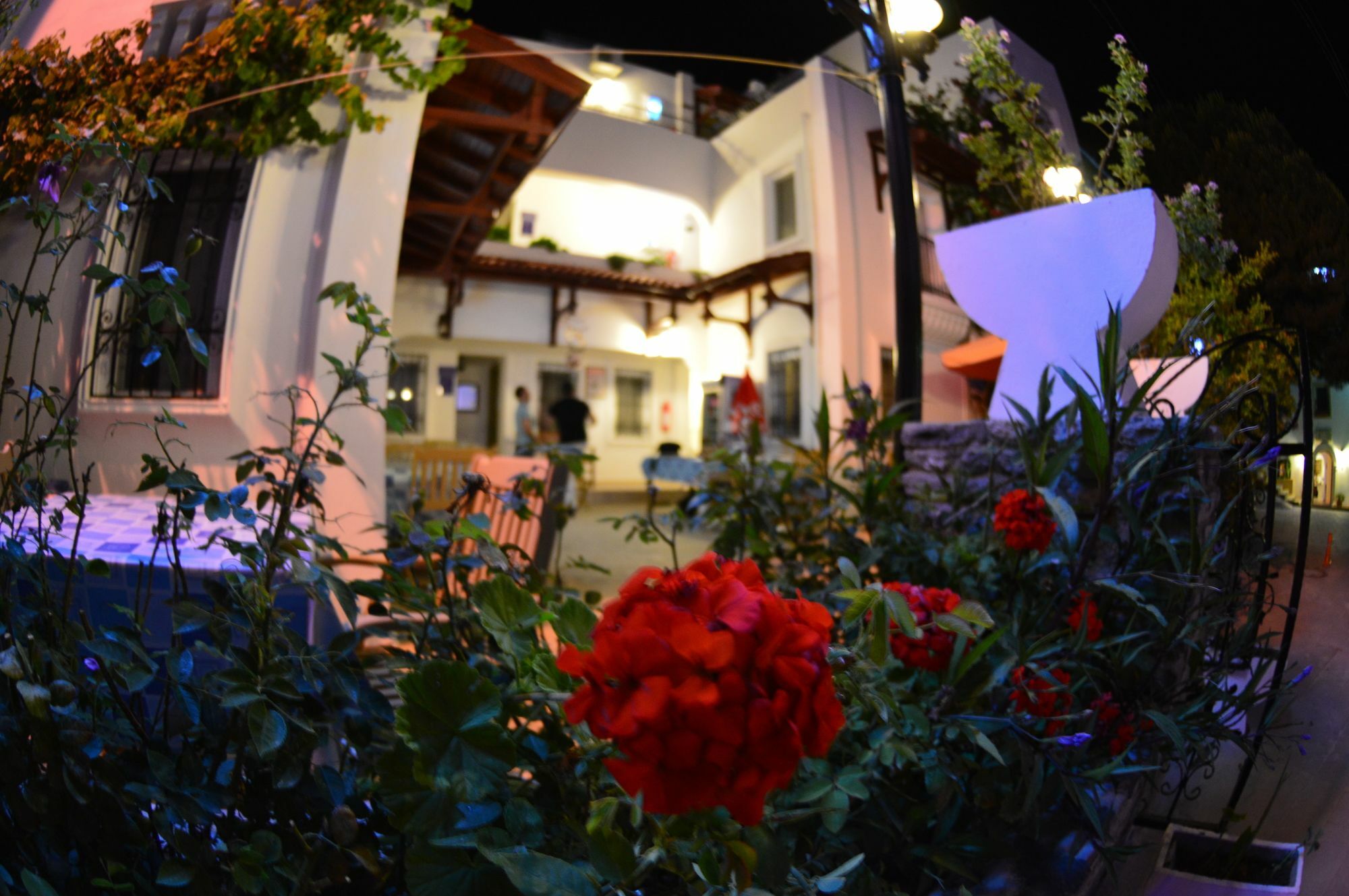 Istankoy Butik Pansiyon Bodrum Luaran gambar